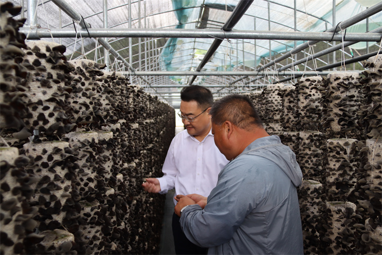 1655348325717068.jpg IMG_6911.jpg